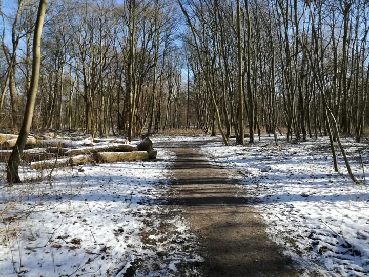 De Panne in de sneeuw (België)